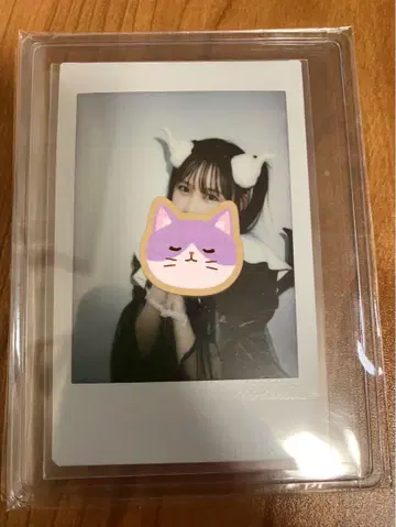 마츠모토 카렌 폴라로이드 larme