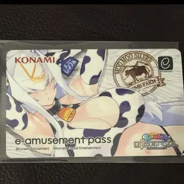 봄버걸 실바 e-패스 e-ammusement pass 2