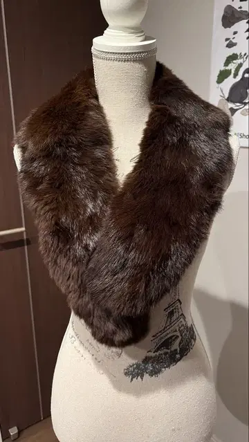 브라운 퍼