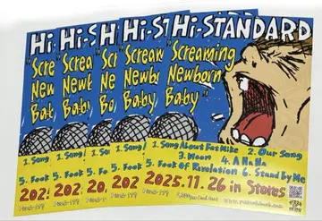 Hi-STANDARD 하이스타 플라이어 5장