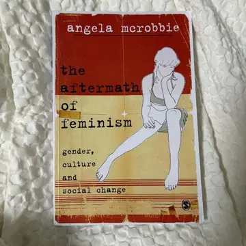 the aftermath of feminism