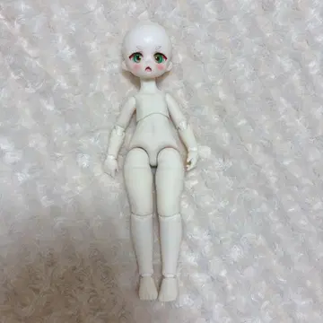 tinyfox 리틀 안나 본체