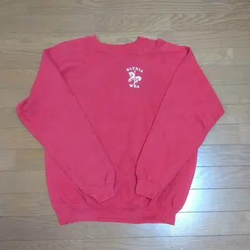 Hanes 래글런 맨투맨 80s usa제