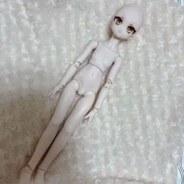 MDD DDH27번 커스텀 헤드 + MDD 바디 세미 화이트 본체