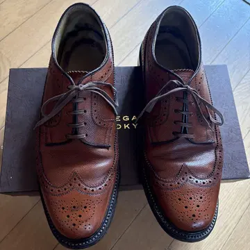 REGAL 임페리얼 그레이드 classical