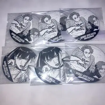 WIND BREAKER 윈브레전 시계 부품 캔뱃지 6개 세트