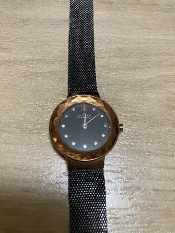SKAGEN 스카겐 워치 손목시계 456SRM 로즈 골드 여성