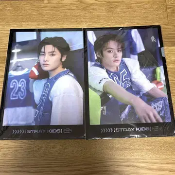 straykids 리노 아이엔 포스터 클리어 파일
