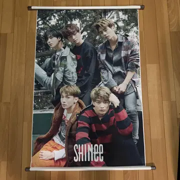 샤이니 태피스트리 샤이니