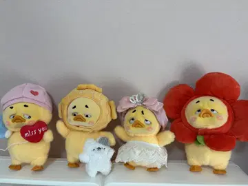 upsetduck 세트