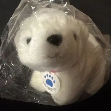 에히메현립 토베 동물원 시로쿠마 피스 봉제 인형