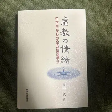 허수의 정서