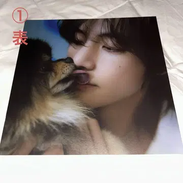 [ 공식 ] BTS 뷔 LAYOVRE 포스터 6장 세트