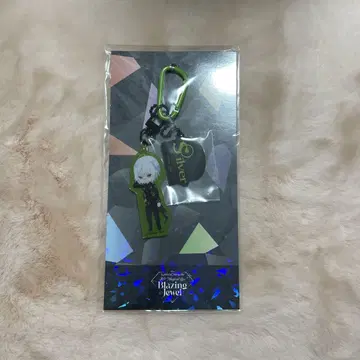 Twisted Wonderland 실버 아크릴 키링