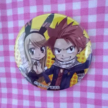 FAIRY TAIL 페어리 테일전 한정판 나츠 루시 캔뱃지