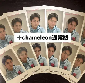 chameleon 일반 버전 마사카도 요시노리