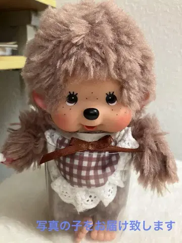 모코모코 스위트 브라운 몽치치 브라운