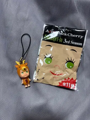 Acid Black Cherry 3rd Season 오비츠큐피