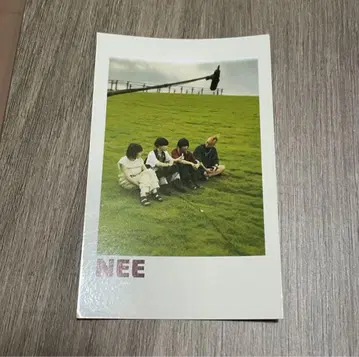 NEE 폴라로이드풍 스티커