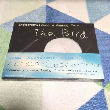 nanaco Cocco The Bird