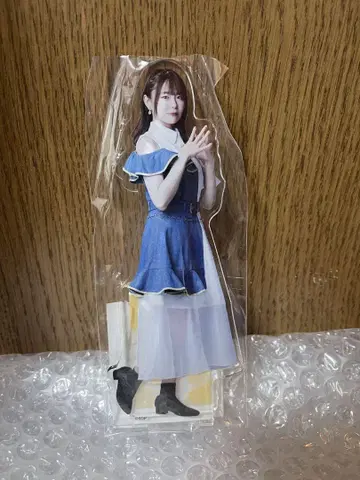 MyGO!!!!! 아크릴 스탠드 나가사키 소요 코히나타 미카