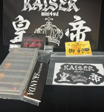 10월 21일 발송 KAISER SKANDA 네오챔프 8도서