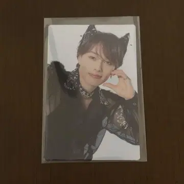 초특급 NINE LIVES 마사히로 트레이딩 카드