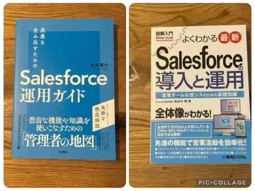 2권 세트! Salesforce 운용 가이드 & 도입과 운용