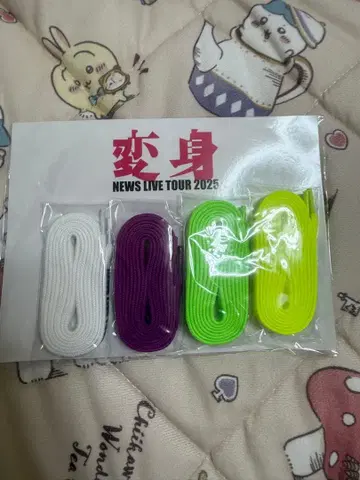 NEWS 변신 신발끈 세트
