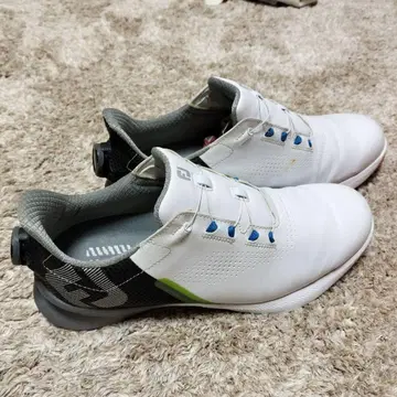 FootJoy 골프화 화이트 Callaway 슈즈 케이스 포함