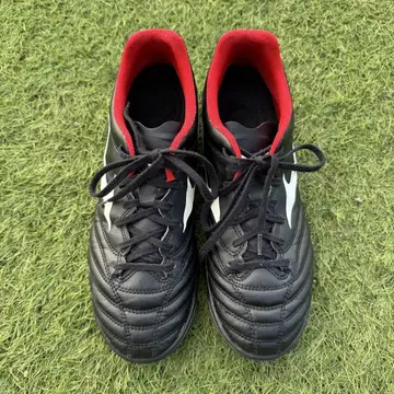 미즈노 모나르시다 축구 트레이닝 슈즈 25.5cm