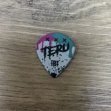 MY FIRST STORY 마이파스 TERU 피크