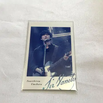 Sir Vanity 우메하라 유이치로 폴라로이드 특전