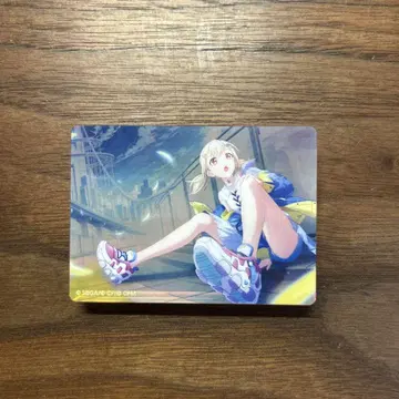 프로세카 코하네 노블 아트 vol.34