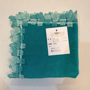 새상품 긴자와 레이스 선인장 그린