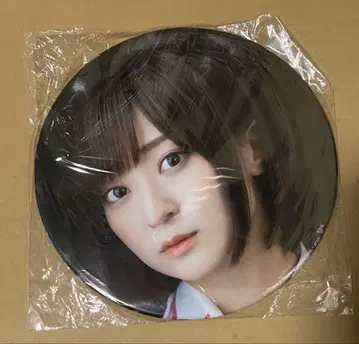 어솔트 릴리 x 사립 루도비코 여자학원 호시모리 사나 BIG 캔뱃지