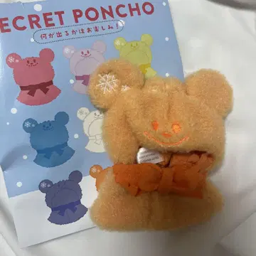 디즈니 스토어 시크릿 판초 오렌지