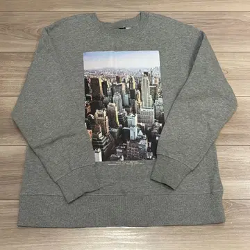 ZARA 뉴욕 스카이라인 트레이닝복 S 그레이