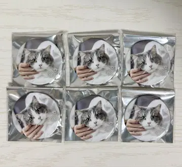 사토미 군 야마토 군 캔뱃지 6개 세트