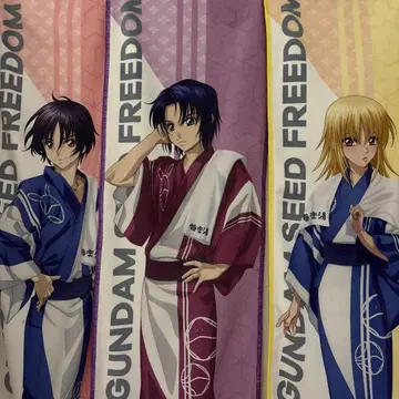 건담 seed freedom 극락탕 신 아스카 아스란 카가리 타월