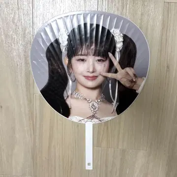 IVE 레이 부채 show what i have japan 도쿄돔