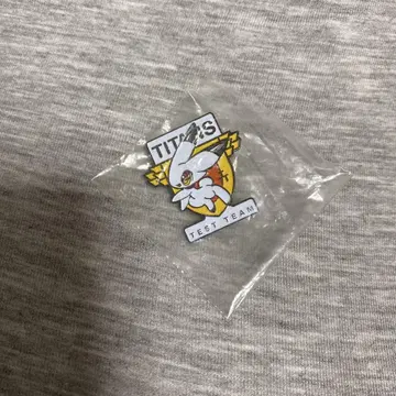 기동전사 Z 건담 A.O.Z 티탄즈 테스트 팀 부대장 핀 배지