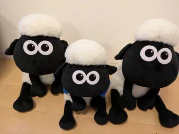 숀더쉽 세트