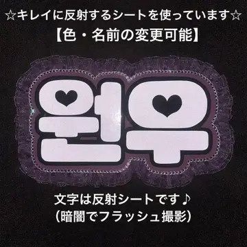 네임보드 SEVENTEEN 세부치 캐럿 원우 반사시트