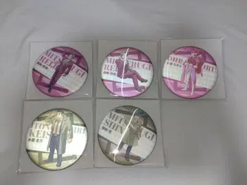 역전검사 체인지 캔뱃지 5개