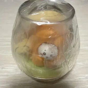 캡슐리움 토끼