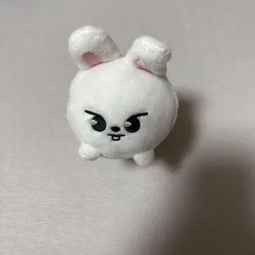 리비트 leebit 백참 스키즈 카페