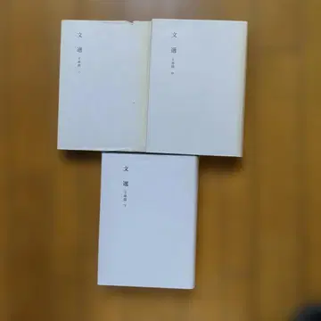 신석 한문 대계 문선 문장편 상중하 3책 세트 메이지 서원