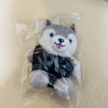 노킹 온 락드 도어 봉제 인형 토리이누 마츠무라 호쿠토 SixTONES