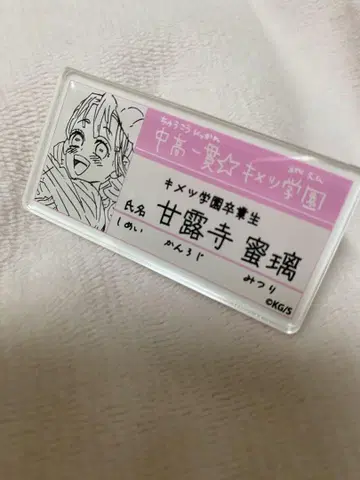 최저가 중고일관 귀멸학원 이야기 명찰 배지 컬렉션 칸로지 미츠리